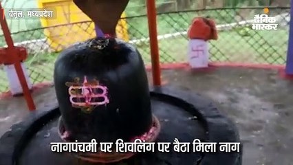 नागपंचमी पर शिवलिंग पर बैठा था नाग
