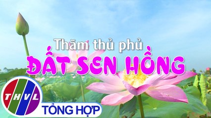 THVL | Ký sự truyền hình: Thăm thủ phủ đất sen hồng
