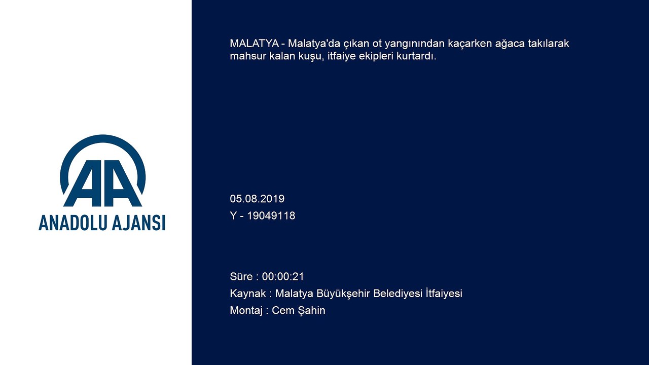 Yangından kaçarken ağaca takılan kuşu itfaiye kurtardı - MALATYA