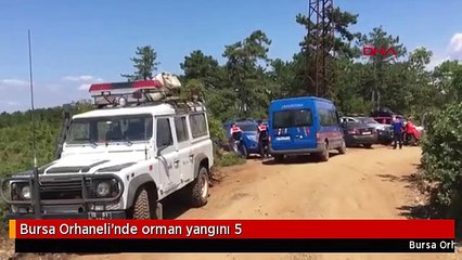 Bursa Orhaneli'nde orman yangını 5