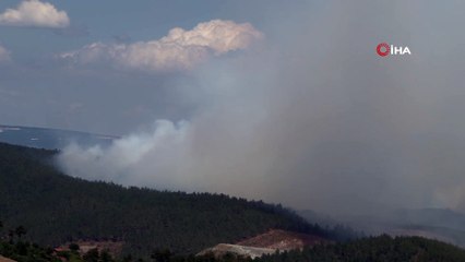 Télécharger la video: Bursa’da orman yangını 4 helikopter ve çok sayıda arazöz müdahale ediyor