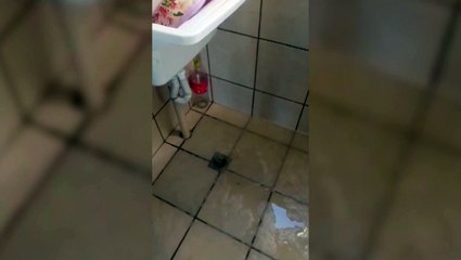 Água por todo lado! Moradora relata problemas em encanamentos no Riviera