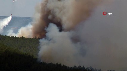 - Orman yangınına müdahale sürüyor