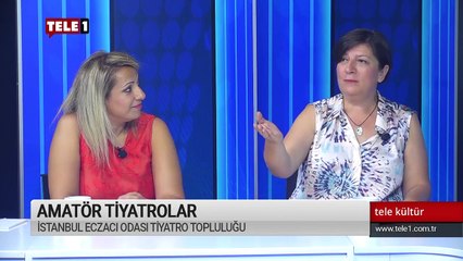 Meslek odaları ve Tiyatro - Tele Kültür (27 Temmuz 2019)