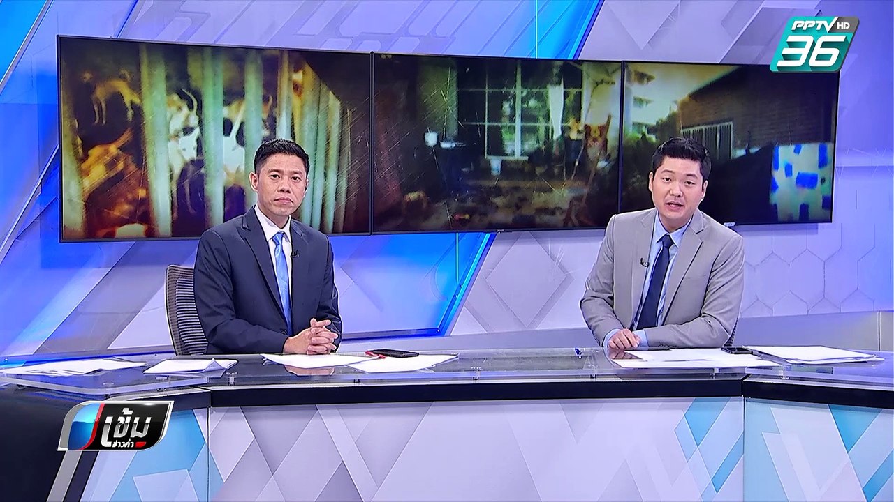 ร้องหน่วยงานช่วยฝูงสุนัขกว่า 20 ตัว ถูกขังลืมใน...