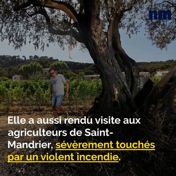 Plages sans plastiques, Cannabis contre les douleurs, Risque d'incendie en forêt: voici votre brief info de ce lundi après-midi