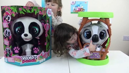 Meu Urso Panda Yoyo Panda e Kao Kao