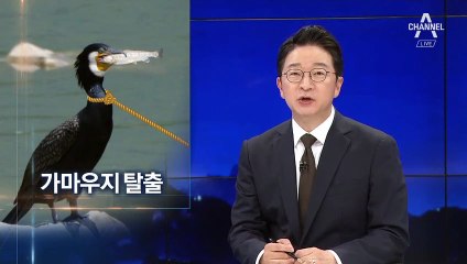 정부, 20대 품목 1년 내 ‘탈일본’…日 의존도 줄인다