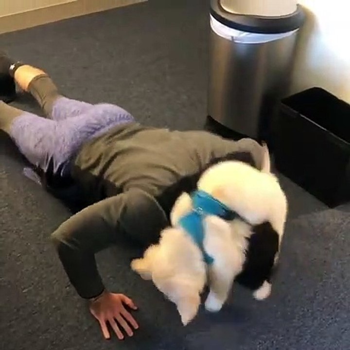 Şöyle Pozitif Spor Yapma Şansımız Olsa Hepimiz Dalyan Gibi Olucaz Aslında