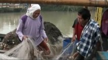 Nelayan Pandeglang Belum Berani Melaut Pascagempa