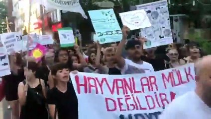 Dün gerçekleşen Resmi Hayvan Hakları Yürüyüşü'nde "Kürk, deri, et hepsi cinayet" sloganları atıldı