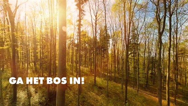 Zo lang moet je in de natuur doorbrengen voor een goede gezondheid