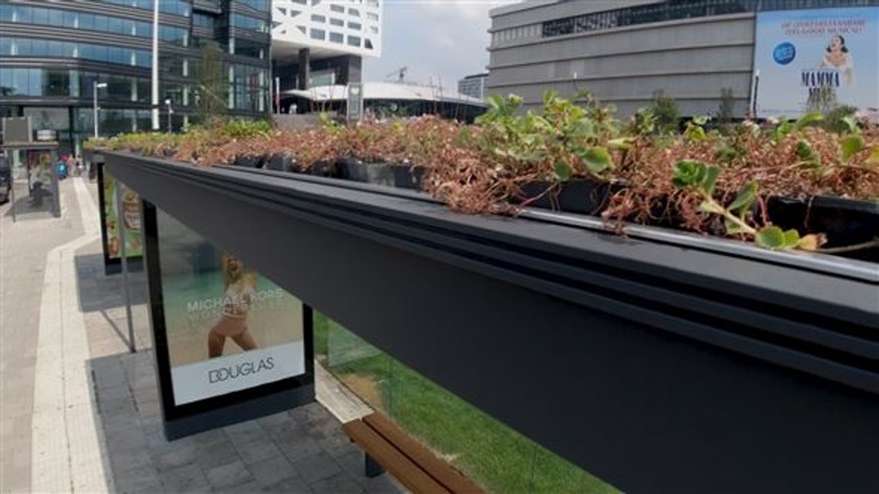 Innovative städte: was utrecht für den klimaschutz tut