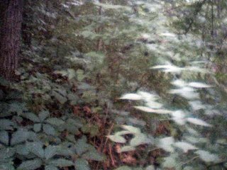 gleich und gleich melody