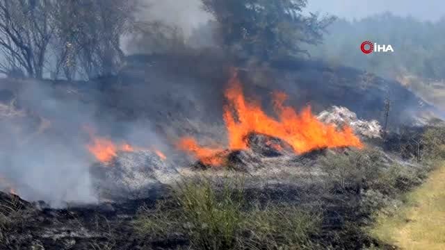 Manisa'da 20 dönüm tarım arazisi küle döndü