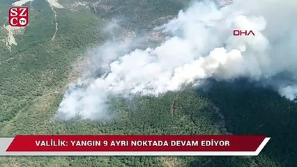 Bursa’da orman yangını