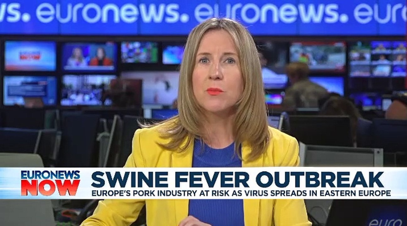 Sow row as Bulgaria accuses Romanian tourists over African Swine Fever