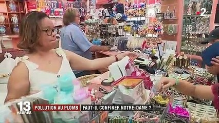 Notre-Dame de Paris : comment lutter contre la pollution au plomb qui touche le site ?