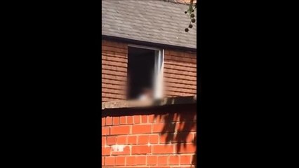 Cannabis grower caught