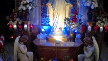 29 Fatima Pilgrimage walk across USA  # Jesus sends cat, Praying at the place Mother Mary Appeared in America,