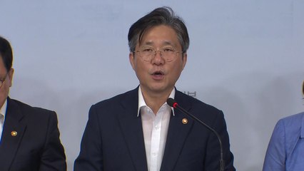 "100대 품목 5년 내 공급 안정화" / YTN
