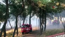 İzmir’in Konak ilçesinde orman yangını çıktı. Yerleşim yerlerine yakın olduğu belirtilen yangına 3 helikopter 8 arazöz ile müdahale ediliyor.