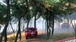 İzmir’in Konak ilçesinde orman yangını çıktı. Yerleşim yerlerine yakın olduğu belirtilen yangına 3 helikopter 8 arazöz ile müdahale ediliyor.