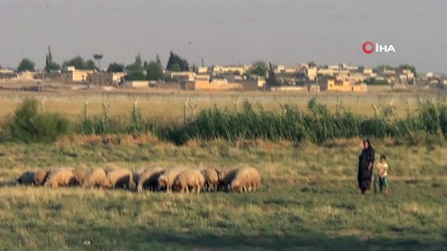 PKK/PYD Terör örgütü sınırdaki bez parçalarını indirdi