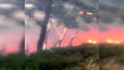 Descargar video: İzmir'in Konak ilçesinde orman yangını çıktı.