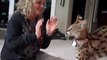 Cette femme vit avec un très gros chat... Serval magnifique