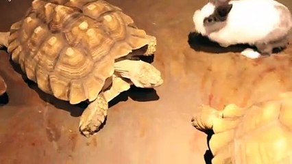곡성출장안마 -후불100%ョØ7ØW7301W9649｛카톡CS69｝ 곡성전지역출장안마 곡성오피걸 곡성출장마사지 곡성안마 곡성출장마사지 곡성콜걸샵≲≥◜