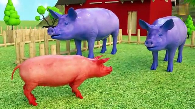Wrong Mother Animals and Baby Pig for Children - Red Cat Animals Name And Sounds