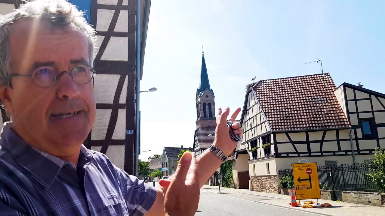 DNA- Le casse-tête des nids de cigognes