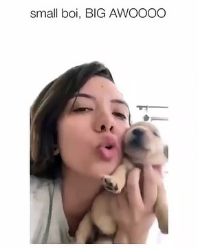 Cette femme et son chiot vont vous arracher un sourire. Trop chou!