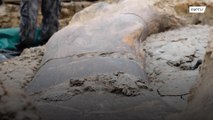 Arqueólogos descobrem osso de dinossauro gigante de 140 milhões de anos na França