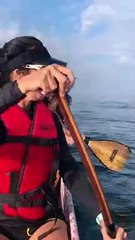 Humpback Whale Surprises Paddlers