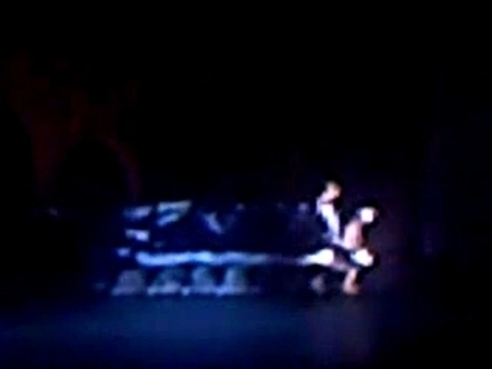 Chantal Goya " papa mille-pattes 2008"