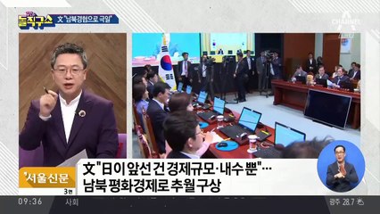 일본 단숨에 따라잡는다?…文 “남북경협으로 극일”