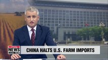 Beijing halts U.S. agriculture purchases as trade war with Washington escalates: Report
