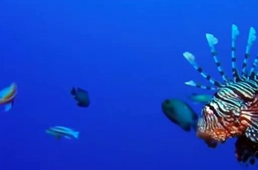 강남디오픈가라오케 ↖김사랑Ø1Øn2393v1922 강남디오픈 언제나즐겁게 이들도있고