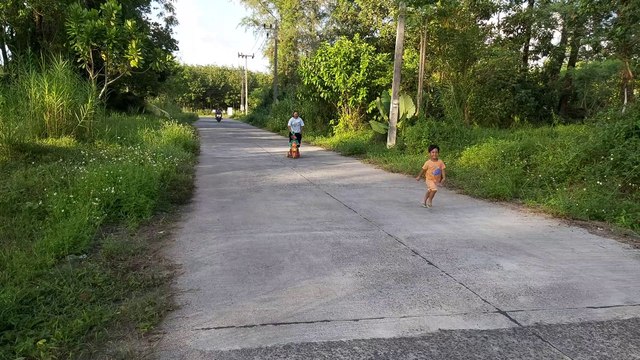 Bang Niang street in Khao Lak