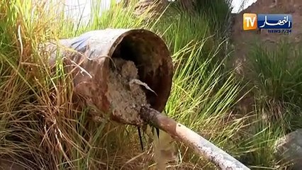 بسكرة: الجفاف يقضي على المئات من أشجار النخيل