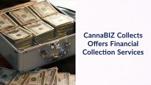 CannaBIZ Collects Offers Financial Collection Services - CannaBIZ Collects