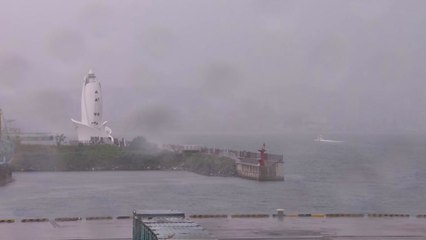 "해안가 태풍 경험 없는 피서객 더 주의해야" / YTN