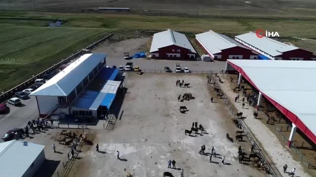 Kurban satıcılarının umudu arefe günü