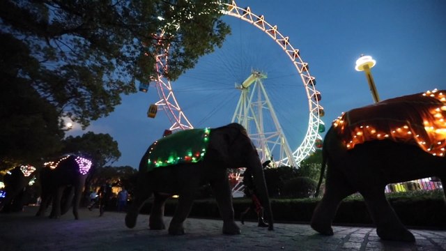 Shanghai zoo opens for night visits