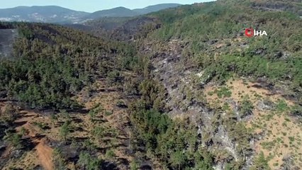 Türkiye'nin kararan ciğerleri havadan görüntülendi