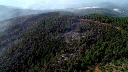 Türkiye'nin kararan ciğerleri havadan görüntülendi