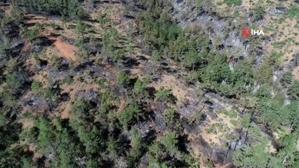 Türkiye'nin kararan ciğerleri havadan görüntülendi