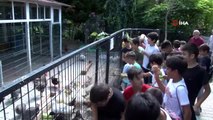 Öğrencilerden, Türkiye Deniz Canlıları Müzesi'ne ziyaret